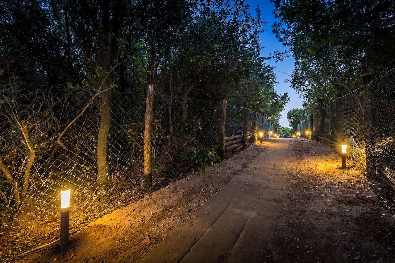 Camping Internazionale Etruria Castiglione della Pescaia Exterior foto